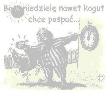 Wściekły mężczyzna trzyma kurę i pokazuje na zegar